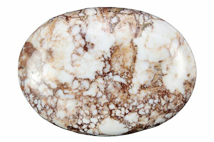 Polished Wild Horse Magnesite - Arizona #341935